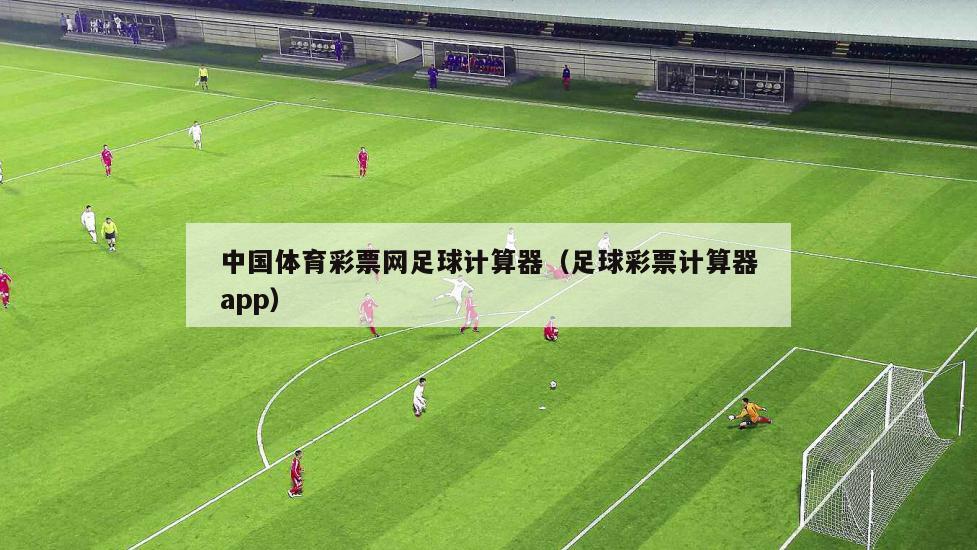 中国体育彩票网足球计算器（足球彩票计算器app）
