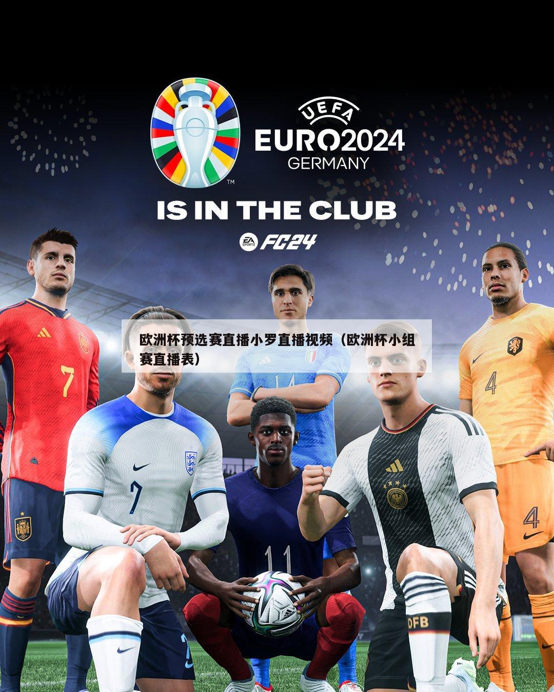 欧洲杯预选赛直播小罗直播视频（欧洲杯小组赛直播表）