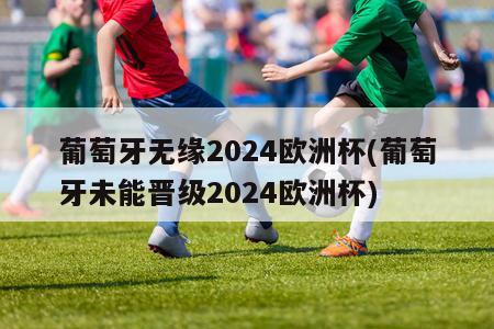 葡萄牙无缘2024欧洲杯(葡萄牙未能晋级2024欧洲杯)