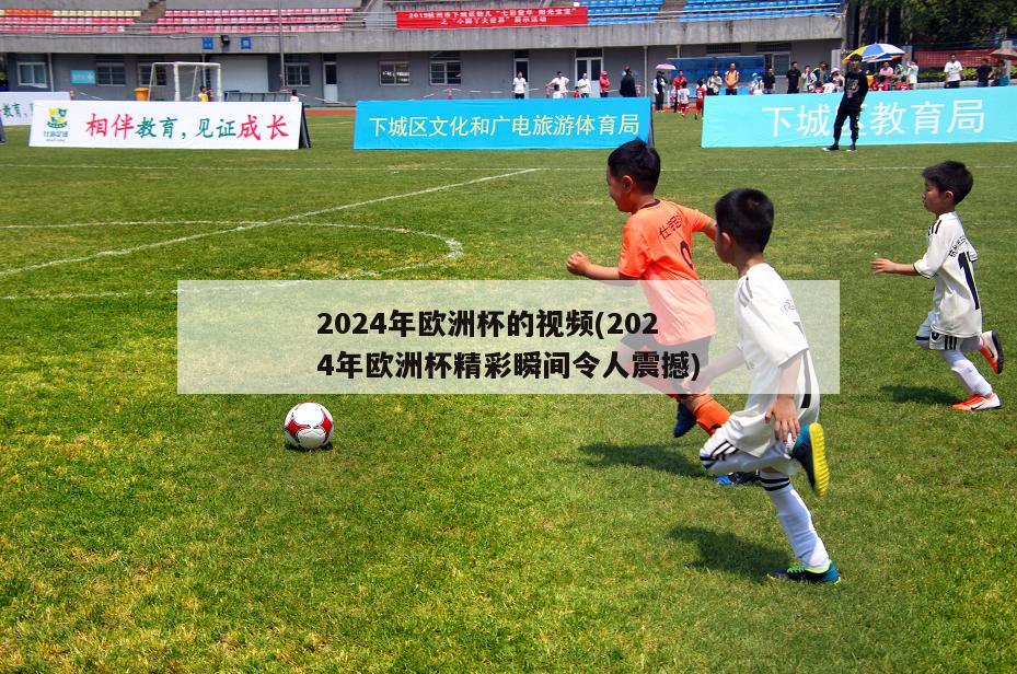 2024年欧洲杯的视频(2024年欧洲杯精彩瞬间令人震撼)