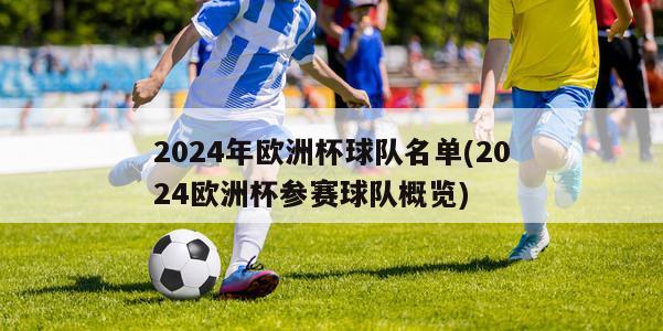 2024年欧洲杯球队名单(2024欧洲杯参赛球队概览)